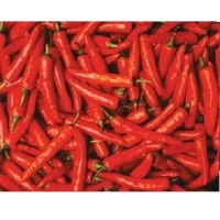 red chili pepper seeds